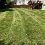 Lawn and Grass Mowing