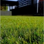 Landscaping and lawn cleaning